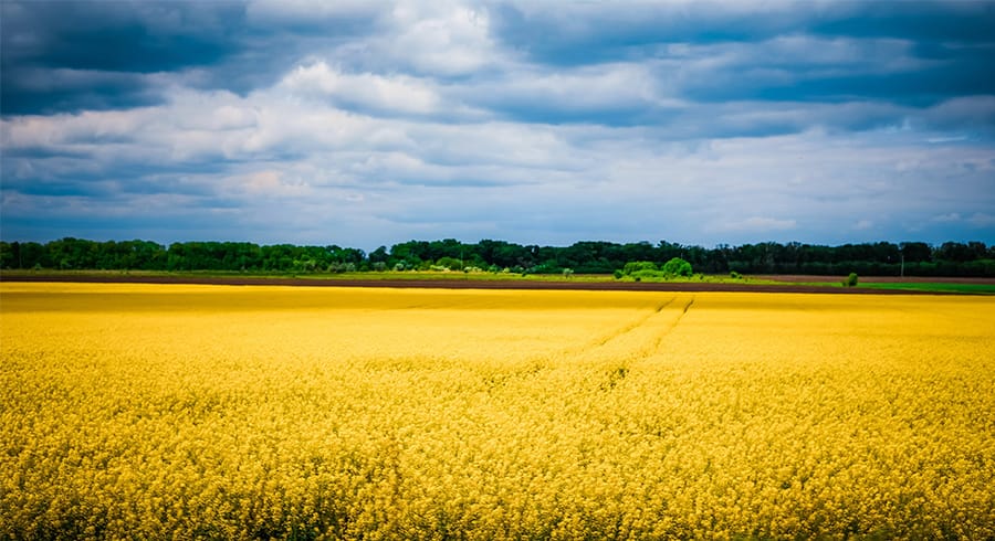 Russia Impact: Update on Fixed Income Index Announcements